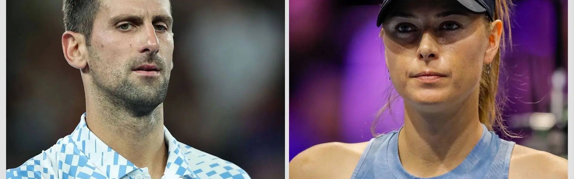 德约科维奇透露将和莎拉波娃合作！排名掉出前五被英国一哥超越