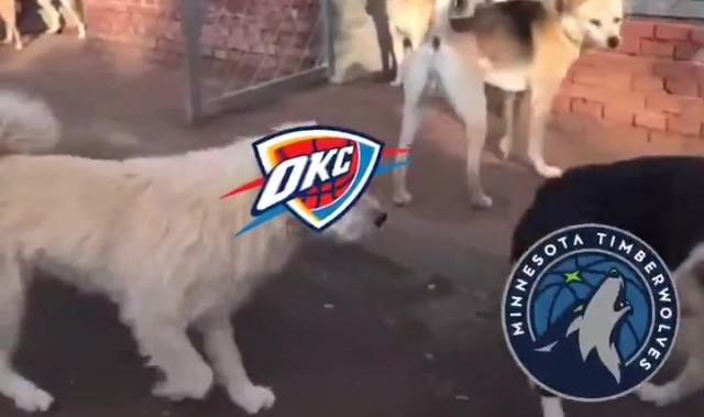 谈球吧体育app下载🔥火到国外了！俄城警察局P图庆祝雷霆西部冠军：狗王来也~