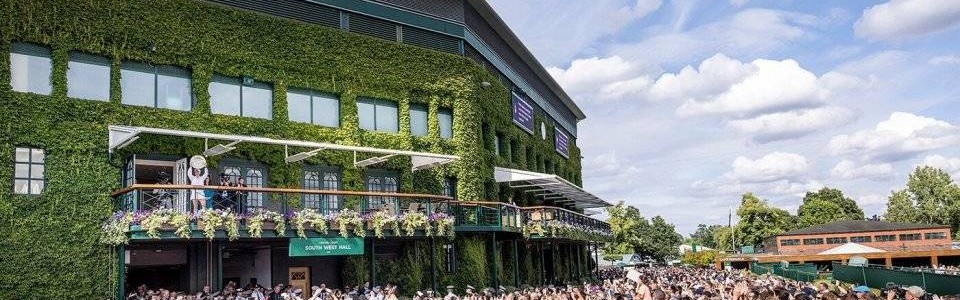 温网入围名单公布：郑钦文领衔中国选手7人，张之臻商竣程在列