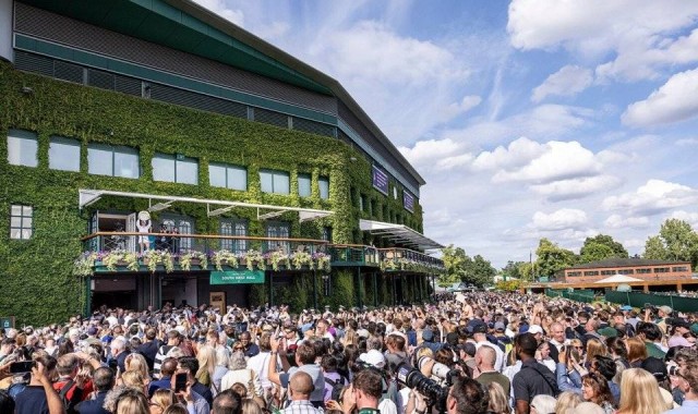 温网入围名单公布：郑钦文领衔中国选手7人，张之臻商竣程在列