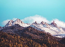 谈球吧体育官网入口🎮Zeus反戈一击Delight大招逆天改命！Zeus奥拉夫狂砍HLE击败T1